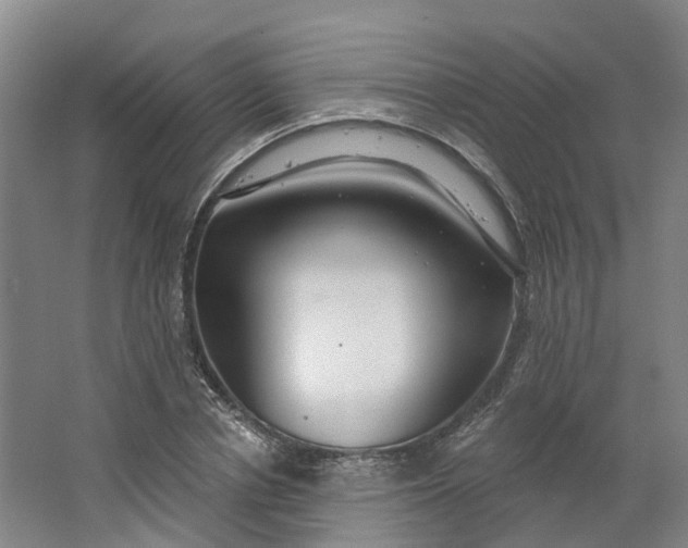 X0000062860834200601271528