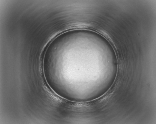 X0000062860835200601271528