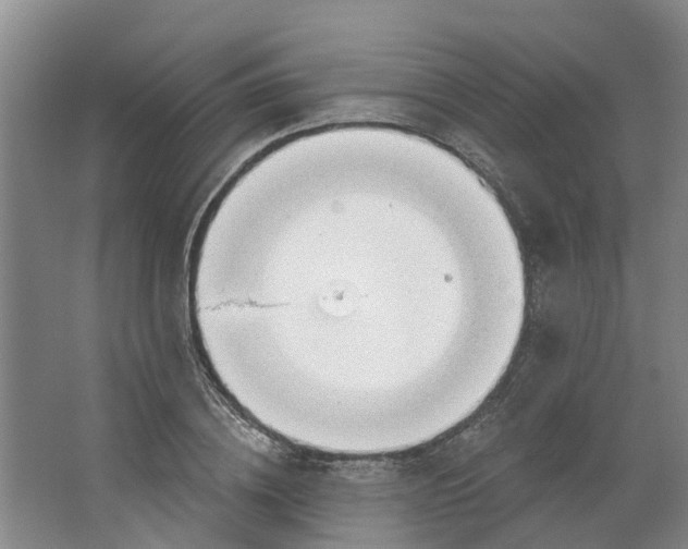 X0000062860836200601271528