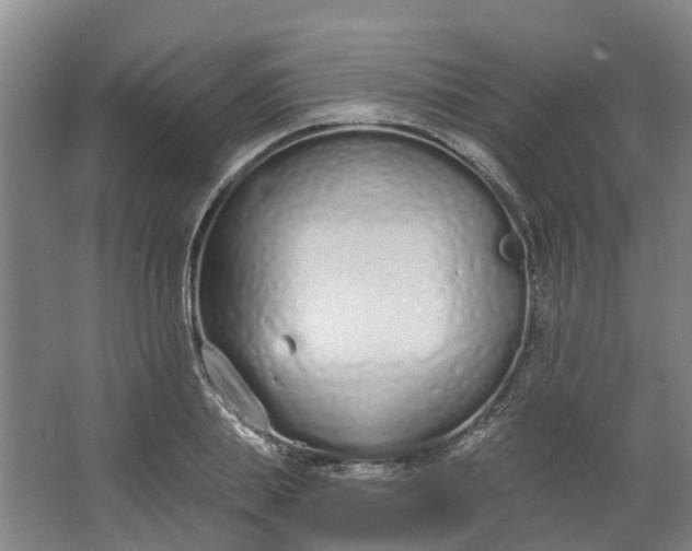 X0000062860839200601271528