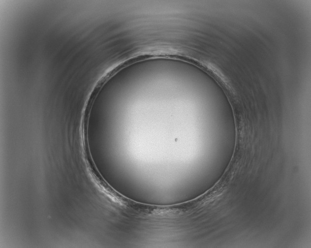 X0000062860840200601271528