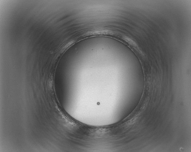 X0000062860841200601271528