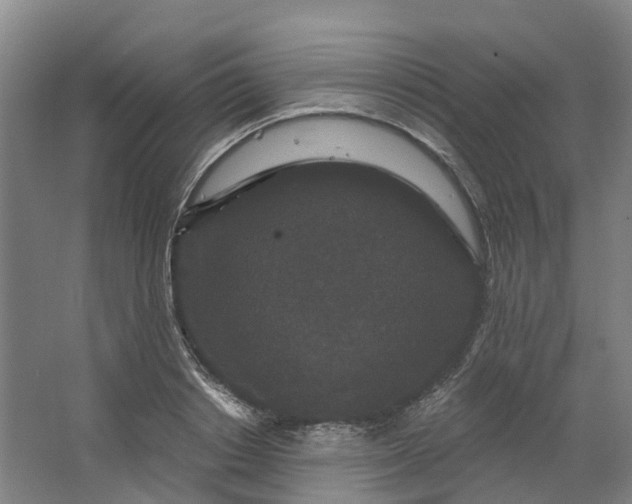 X0000062860842200601271528