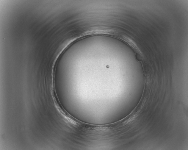 X0000062860844200601271528