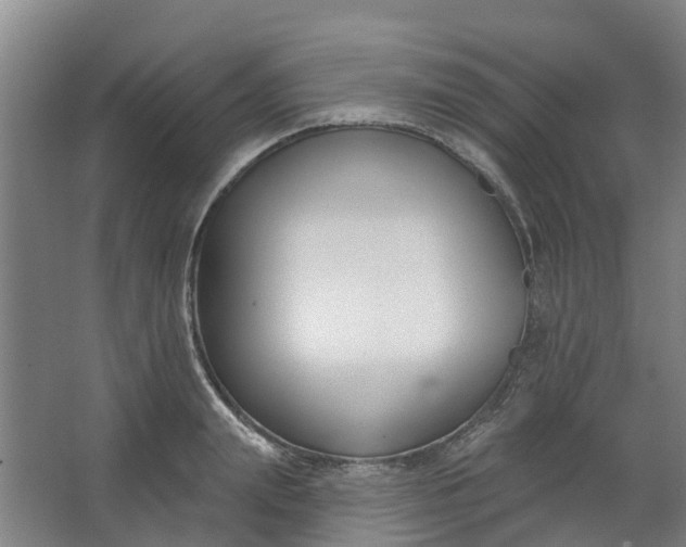 X0000062860847200601271528