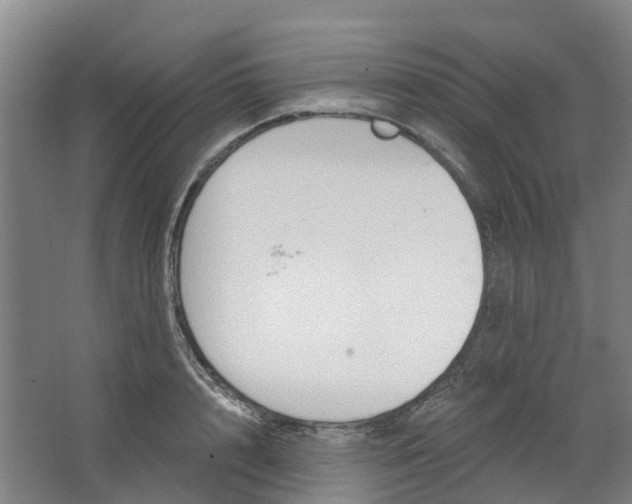 X0000062860848200601271528