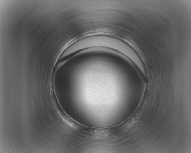 X0000062860850200601271528