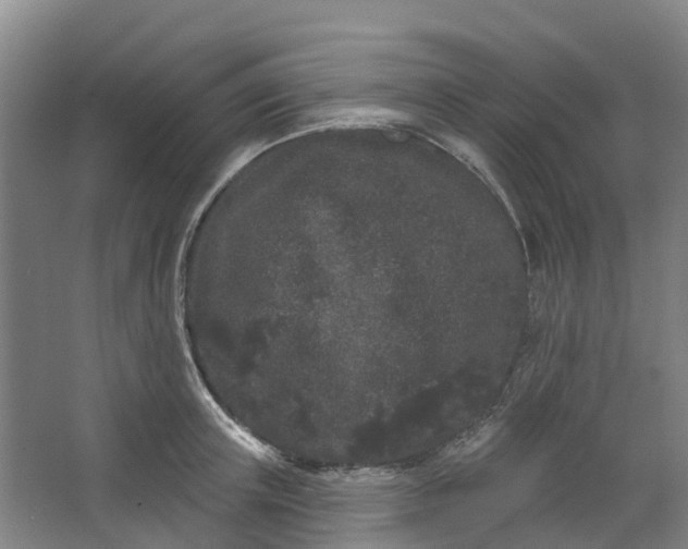 X0000062860851200601271528