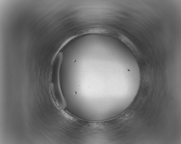 X0000062860852200601271528