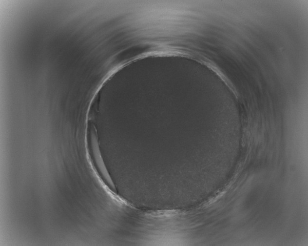 X0000062860853200601271528