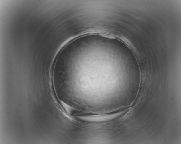 X0000062860854200601271528