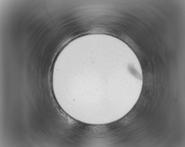 X0000062860856200601271528