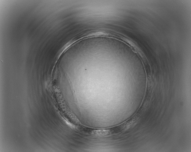 X0000062860858200601271528