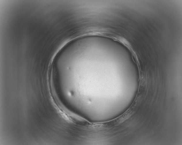 X0000062860859200601271528