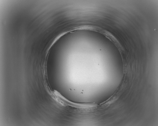 X0000062860860200601271528