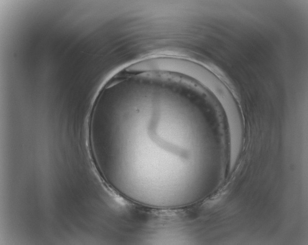 X0000062860862200601271528