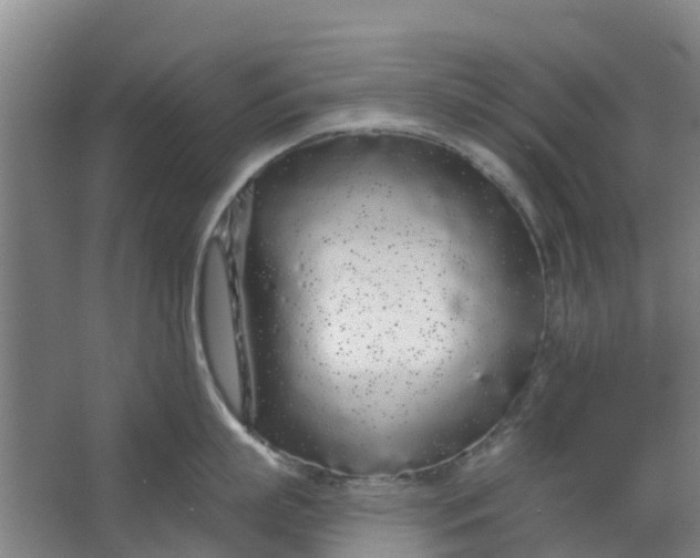 X0000062860863200601271528