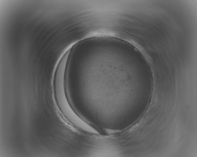 X0000062860864200601271528