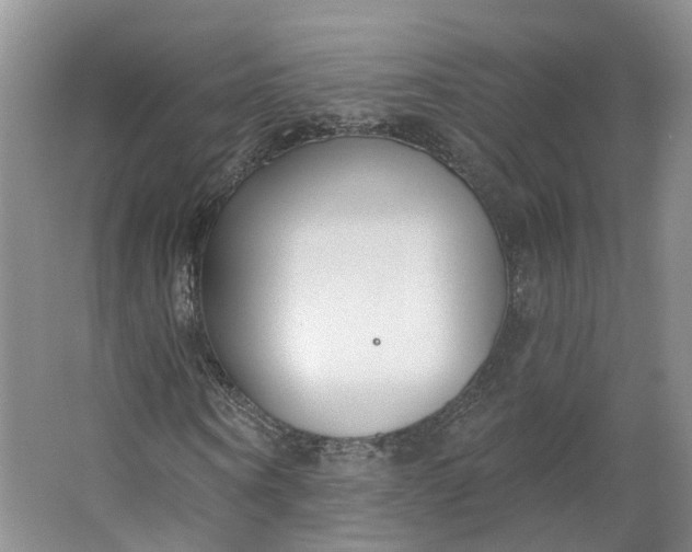 X0000062860866200601271527