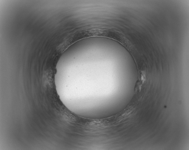 X0000062860867200601271527