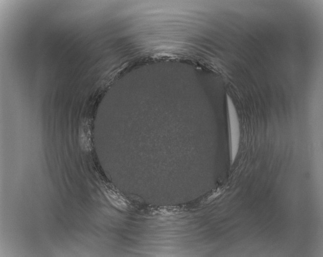 X0000062860868200601271527