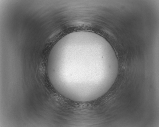 X0000062860869200601271527