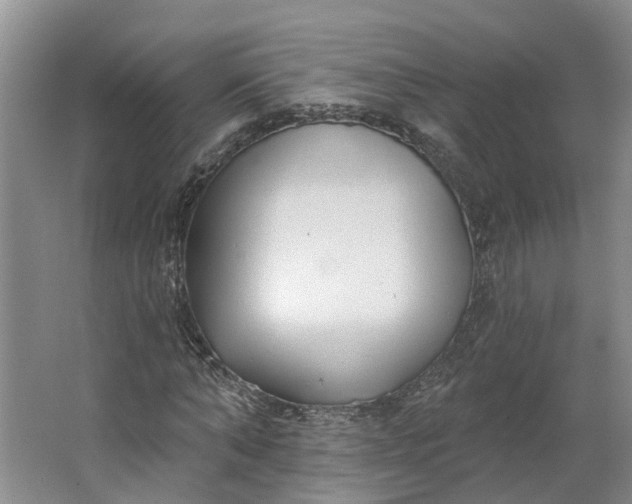 X0000062860870200601271527