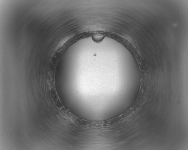 X0000062860871200601271527