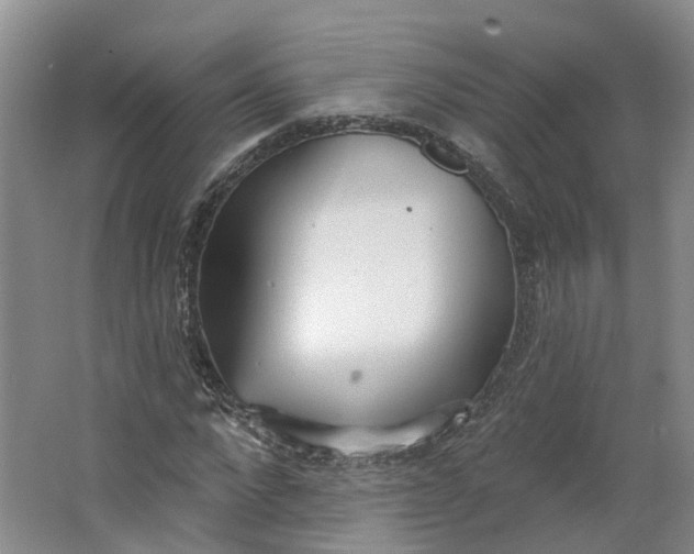 X0000062860872200601271527