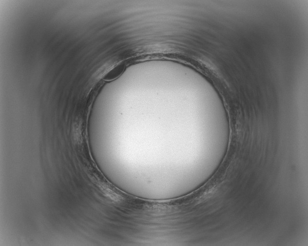 X0000062860873200601271527