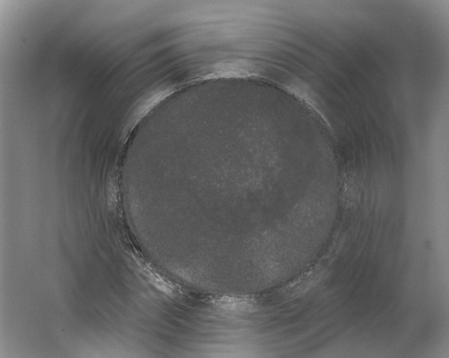 X0000062860874200601271527