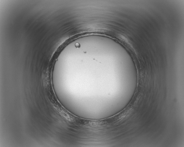 X0000062860875200601271527