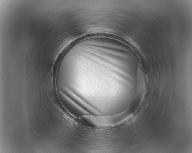 X0000062860877200601271527