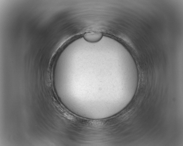 X0000062860878200601271527