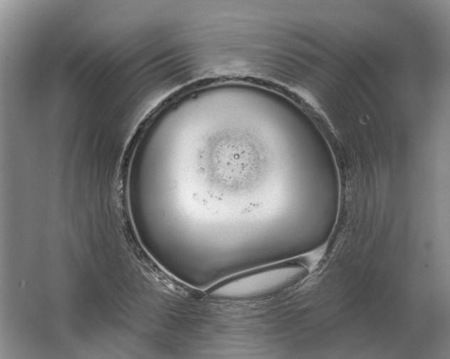 X0000062860879200601271527