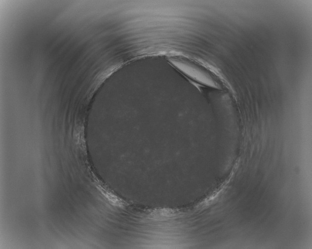 X0000062860881200601271527