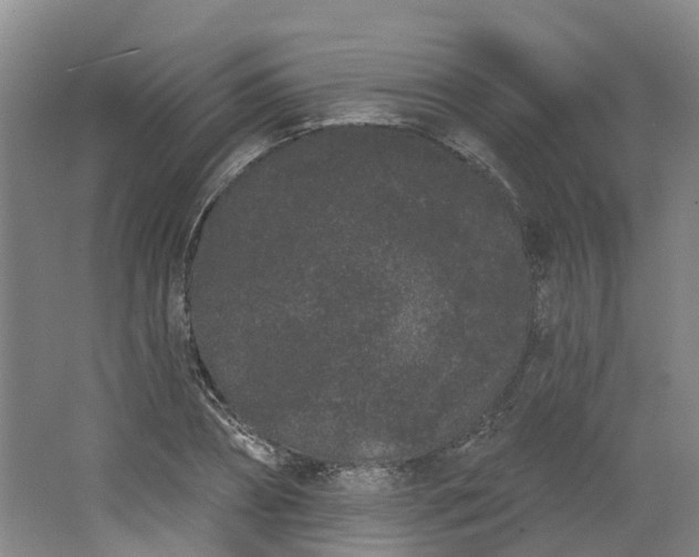 X0000062860882200601271527