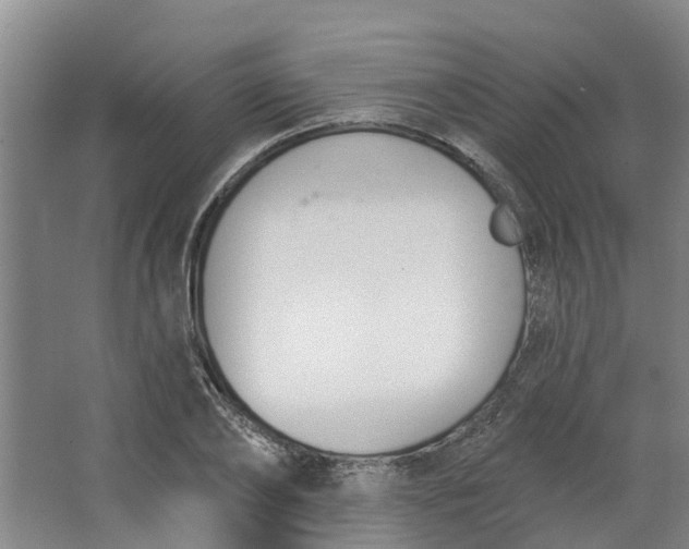 X0000062860886200601271527