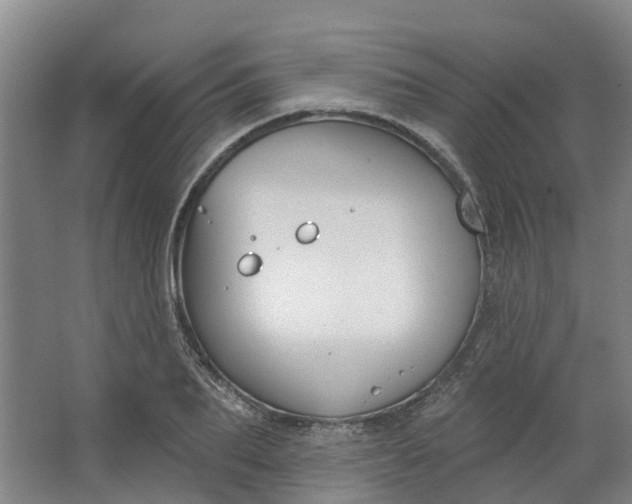 X0000062860887200601271527