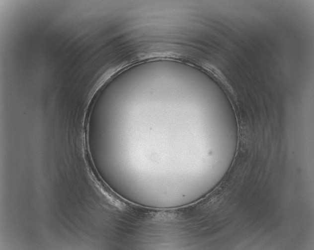 X0000062860890200601271527