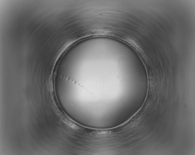 X0000062860891200601271527