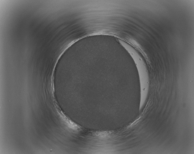 X0000062860892200601271527