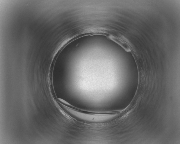 X0000062860893200601271527