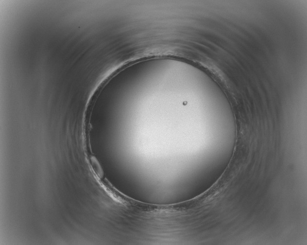 X0000062860894200601271527