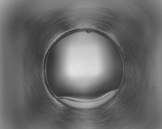 X0000062860895200601271527