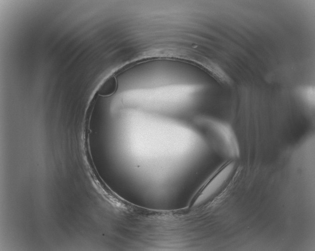 X0000062860896200601271527