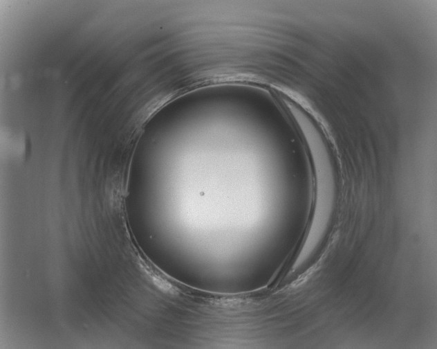 X0000062860897200601271527