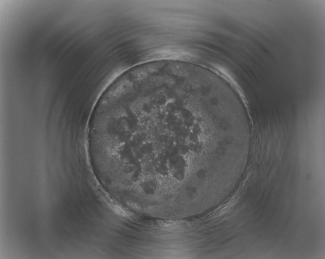 X0000062860899200601271527