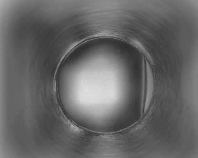 X0000062860900200601271527