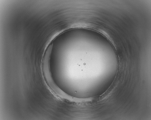 X0000062860901200601271527